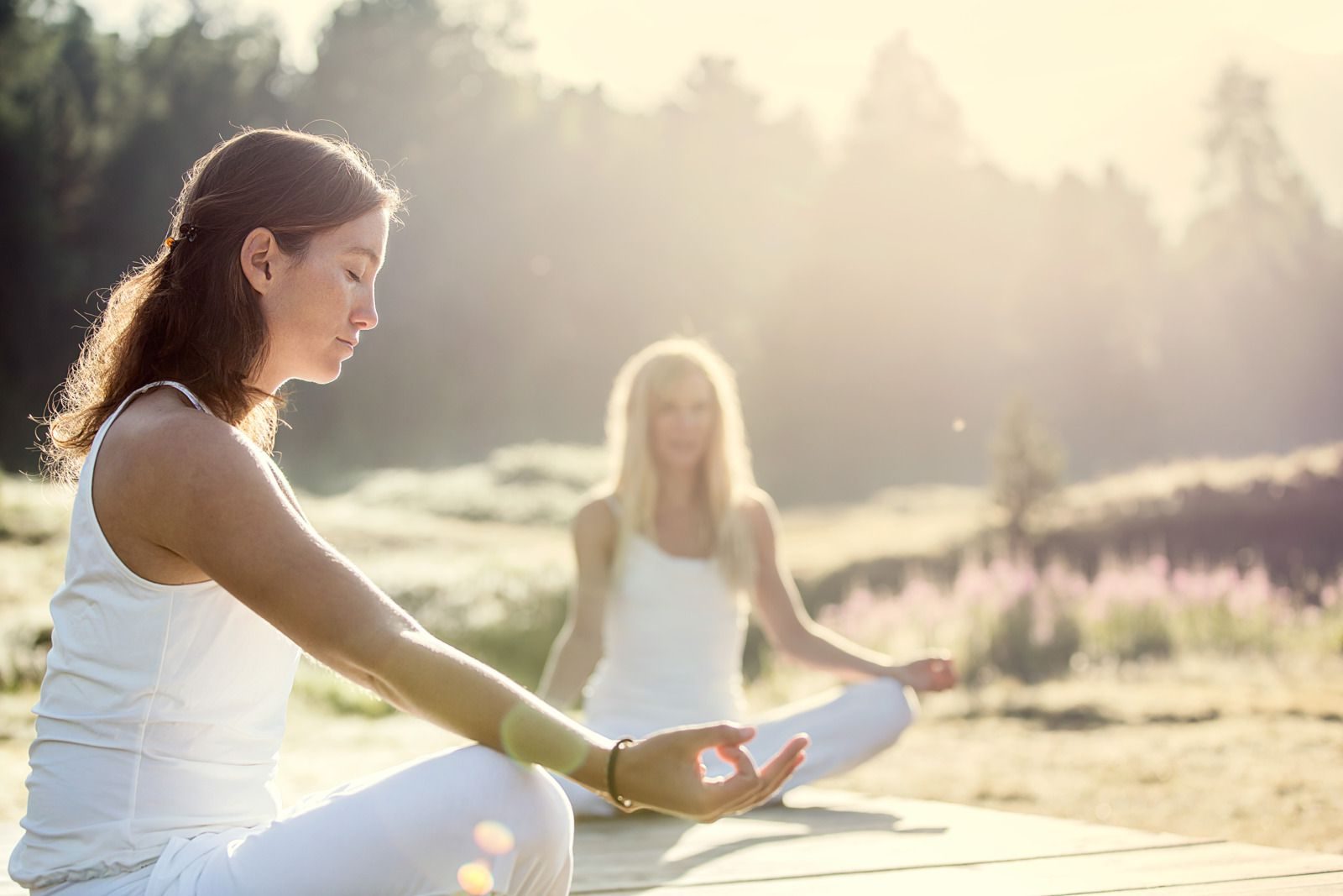 Yoga Holidays in the Alps