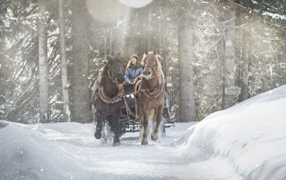 Working animals like those pulling a horse drawn carriage, seen here in Leogang, provide some magical non skiing activities in the mountains,