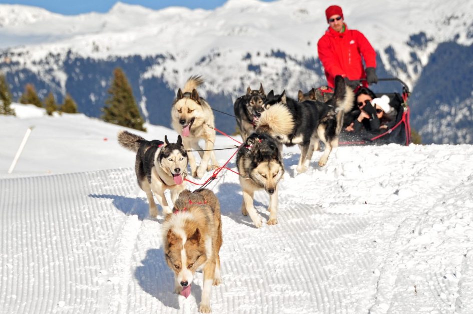 Non-skiing activities in Courchevel cater for families and thrill seekers too. Ranging from dog sledding, as seen in this picture, to skydiving and everything in between, non-skiing activities in Courchevel offer something for all ages.
