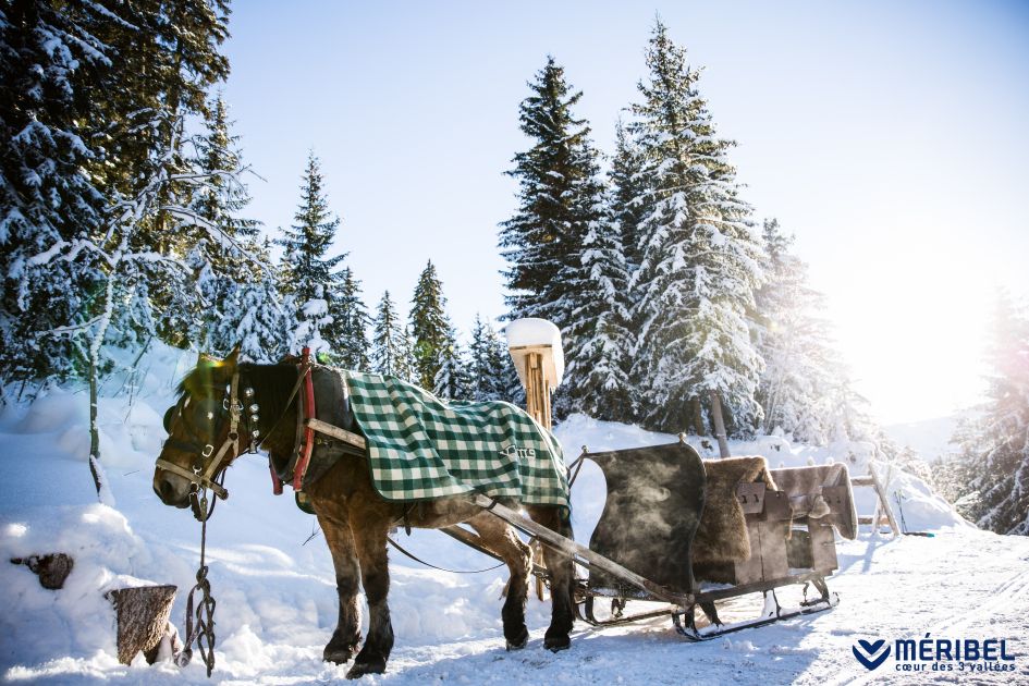 sleigh ride in meribel, sleigh ride three valleys, horse and cart meribel