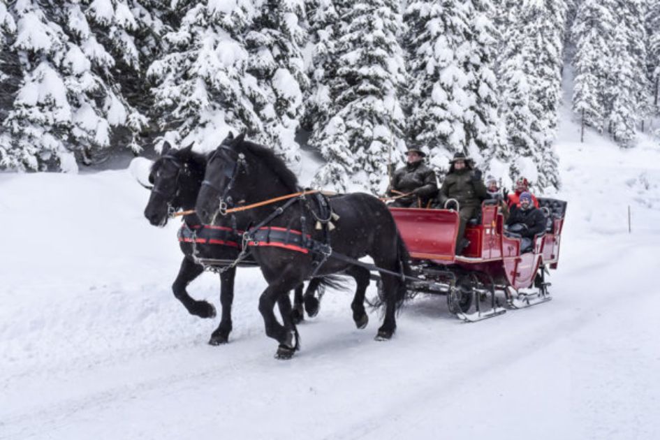 St Anton, Arlberg, horse sleigh, snow, skiing