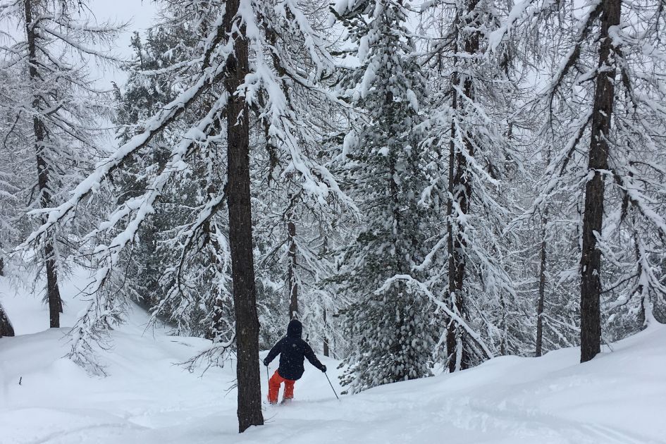 powder skiing in Cortina, Faloria-Cristallo ski area, tree skiing Cortina