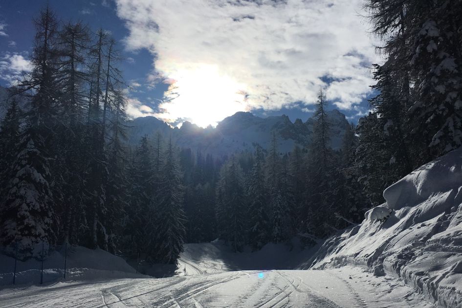Vitelli Bassa, ski Cortina, ski Faloria Cristallo, Cortina Olympics, best ski runs in Cortina
